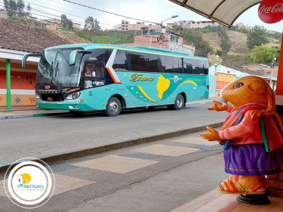 Servicio bus turístico Quito