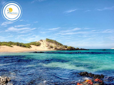 Tour Feriado en Gal&aacute;pagos 