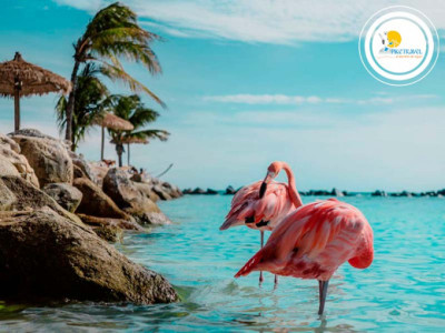 Tour Aruba desde Ecuador 