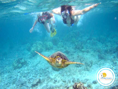 Promociones a Galápagos Santa Cruz