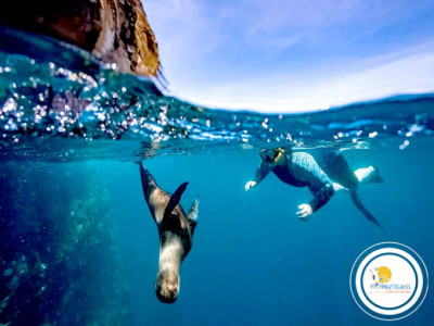Tour a Gal&aacute;pagos 4 d&iacute;as desde Quito