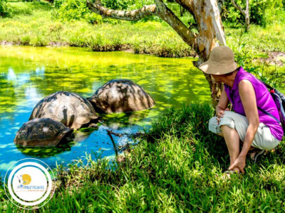 Paquetes Turísticos a Galápagos desde Guayaquil