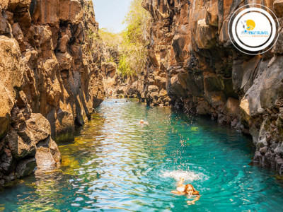  Tour Feriado en Galápagos 