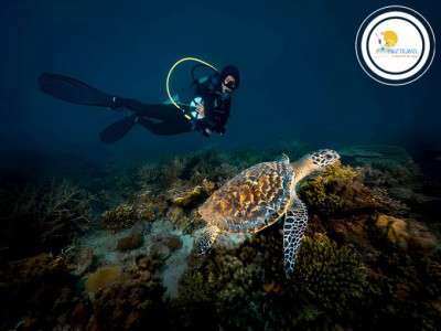 Tour a San Crist&oacute;bal Gal&aacute;pagos