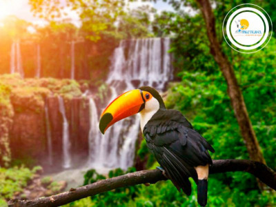 Paisajes increíbles en las Cataratas de Iguazú 