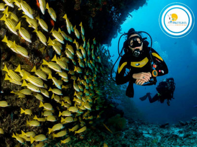 Tour a Curacao desde Quito - Guayaquil