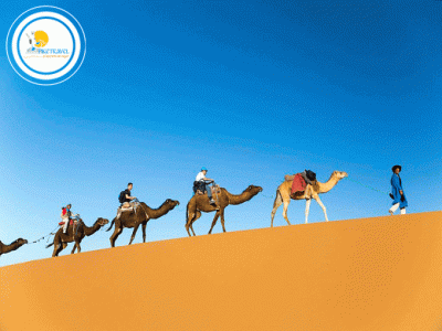 Tour a Egipto - Crucero R&iacute;o Nilo