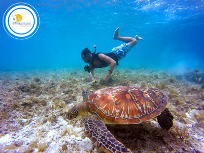 Tour a Gal&aacute;pagos para estudiantes
