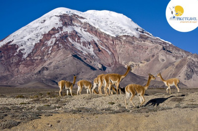 Extraordinario paisaje del Chimborazo