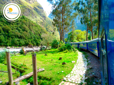 Tours a Cusco Machu Picchu 