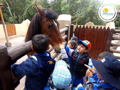Tour zoológico Guayllabamba entrada
